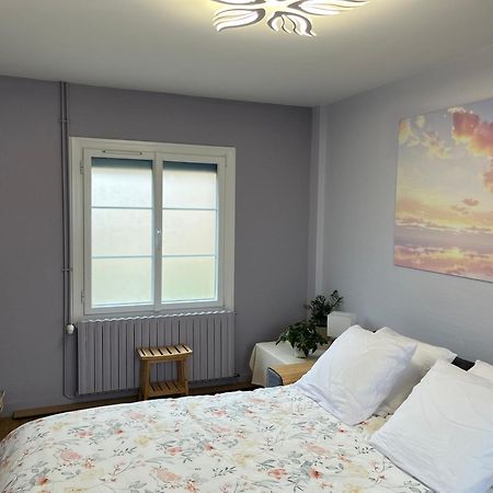 Au Fil De L'Eau Bed and Breakfast La Chapelle-Saint-Aubin Εξωτερικό φωτογραφία